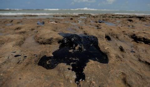 Capes vai liberar R$ 1,3 milhão para pesquisas sobre manchas de óleo