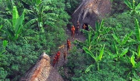 União é multada por não prestar apoio a frentes de proteção a povos isolados do Vale do Javari