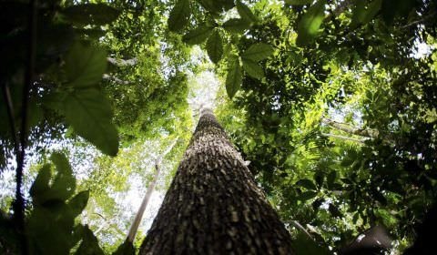 Empresários avaliam que licenciamento ambiental é fundamental