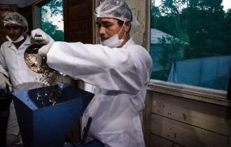 Recursos de P&D poderão financiar projetos da FAS em comunidades da Amazônia