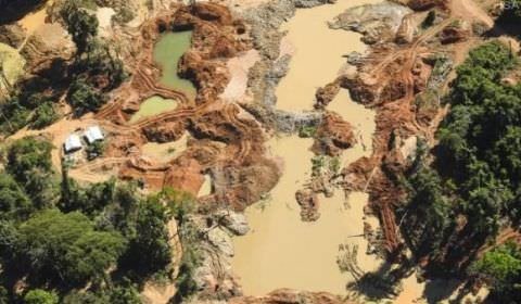 Desmatamento cresce 80% nas terras indígenas, revela ISA