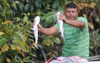 Caixa começa a pagar auxílio emergencial a pescadores