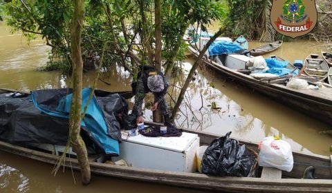 Polícia federal apreende cerca de 300kg de carne de caça, armas e munições