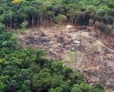 Operação retira invasores de área mais desmatada da Amazônia