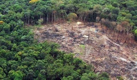 Operação retira invasores de área mais desmatada da Amazônia