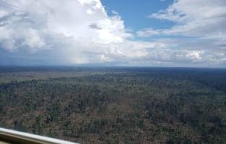 Operação conjunta combate invasão de terras públicas e desmatamento em Boca do Acre