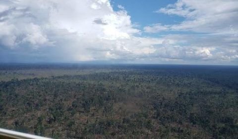 Operação conjunta combate invasão de terras públicas e desmatamento em Boca do Acre