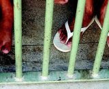 MPAM indefere denúncia de clínicos gerais se passando por psiquiatras em presídios no AM