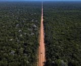 DNIT remarca licitações da BR-319 após decisão judicial