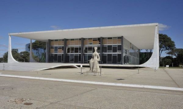STF proíbe abate de animais apreendidos em situação de maus-tratos