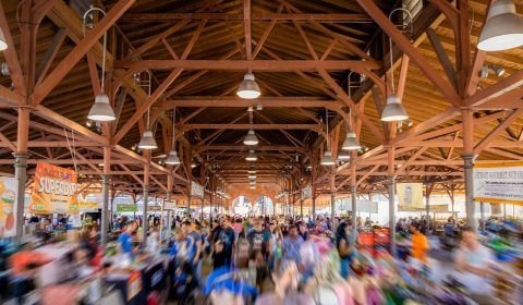 Estimativa da População: Manaus concentra 53% da população do Estado