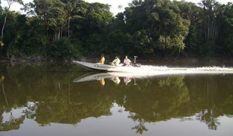 Natura lança aliança de empreendedorismo na Amazônia promove a economia de floresta em pé