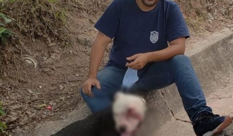 João Sarmanho diz que todos os dias presencia animais abandonados nas ruas de Manaus e essa situação precisa mudar