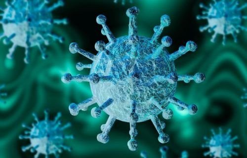 "Hantavírus pode virar uma nova pandemia?" Infectologista esclarece mitos e verdades após casos suspeitos em navio