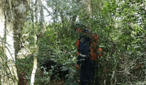 Ataque a tiros mata ao menos 8 pessoas em empresa de entrega nos EUA