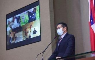 PL de João Luiz prevê captura, esterilização e marcação de animais de rua no Estado