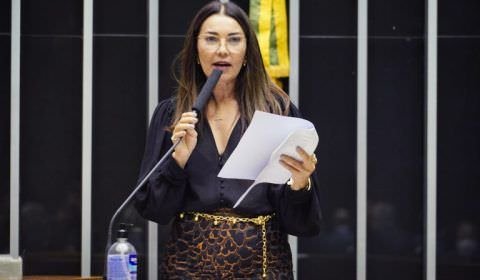 Câmara aprova projeto que define crimes contra o Estado Democrático de Direito