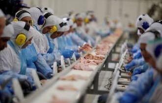 Arábia suspende compra de carne de ave de 11 frigoríficos do Brasil