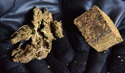 Expansão internacional do PCC abre a rota da maconha ‘gourmet’ colombiana no Brasil