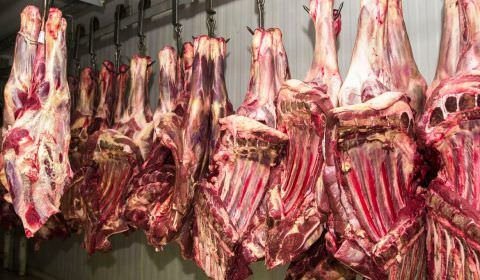 Comércio irregular de carne é alvo de operação