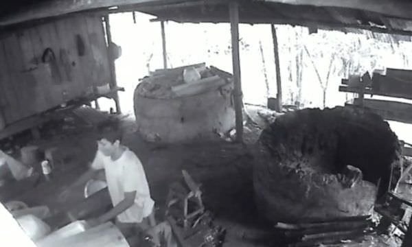 Dupla faz ‘limpa’ em casa de farinha de agricultor em Tefé; veja o vídeo