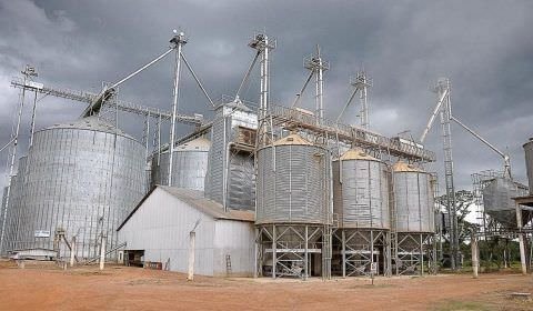 IBGE: capacidade de armazenagem agrícola tem leve retração
