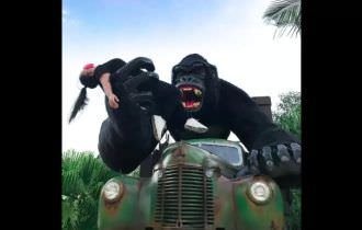 Criança fica em estado grave após cair de atração no Beto Carrero World