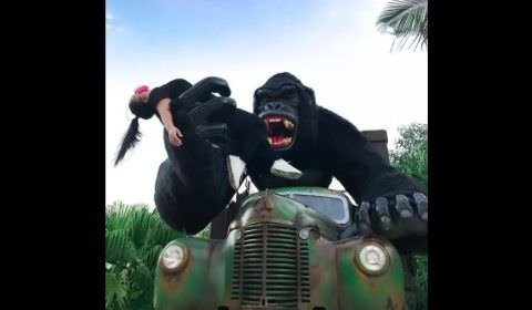 Criança fica em estado grave após cair de atração no Beto Carrero World