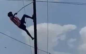 Homem pega descarga elétrica após tentar salvar pássaro em poste (veja o vídeo)
