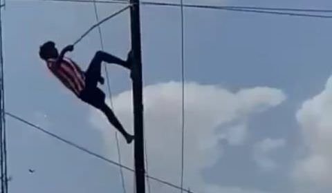 Homem pega descarga elétrica após tentar salvar pássaro em poste (veja o vídeo)