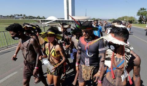 Congresso decide extinguir a Amazônia em projeto aprovado na CCJ 