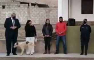 VÍDEO: Cachorro urina em prefeita que inaugurava obra municipal