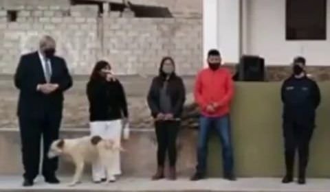 VÍDEO: Cachorro urina em prefeita que inaugurava obra municipal