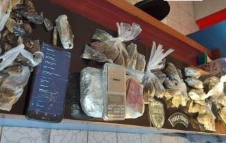 MPAC e MPAM trabalham em conjunto na Operação Repiquete