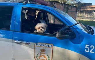 Polícia resgata cãozinho sequestrado por criminosos durante roubo (veja o vídeo