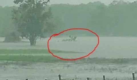 URGENTE: helicóptero do Exército cai em rio no Careiro da Várzea e já consta vítima fatal; Veja vídeo