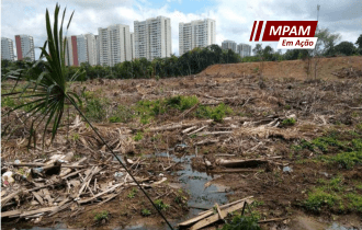 MPAM investiga desmatamento de Área de Preservação Permanente na Ponta Negra