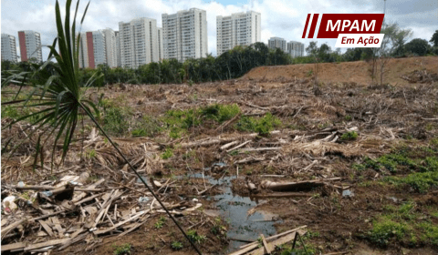 MPAM investiga desmatamento de Área de Preservação Permanente na Ponta Negra