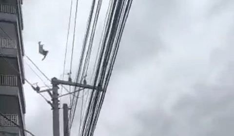 Mulher se joga do sétimo andar e cai em fios de alta tensão (veja o vídeo) 