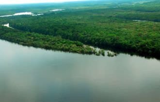 Vice-presidente visita a Amazônia na companhia de embaixadores