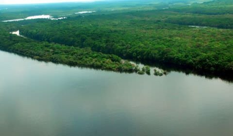 Vice-presidente visita a Amazônia na companhia de embaixadores