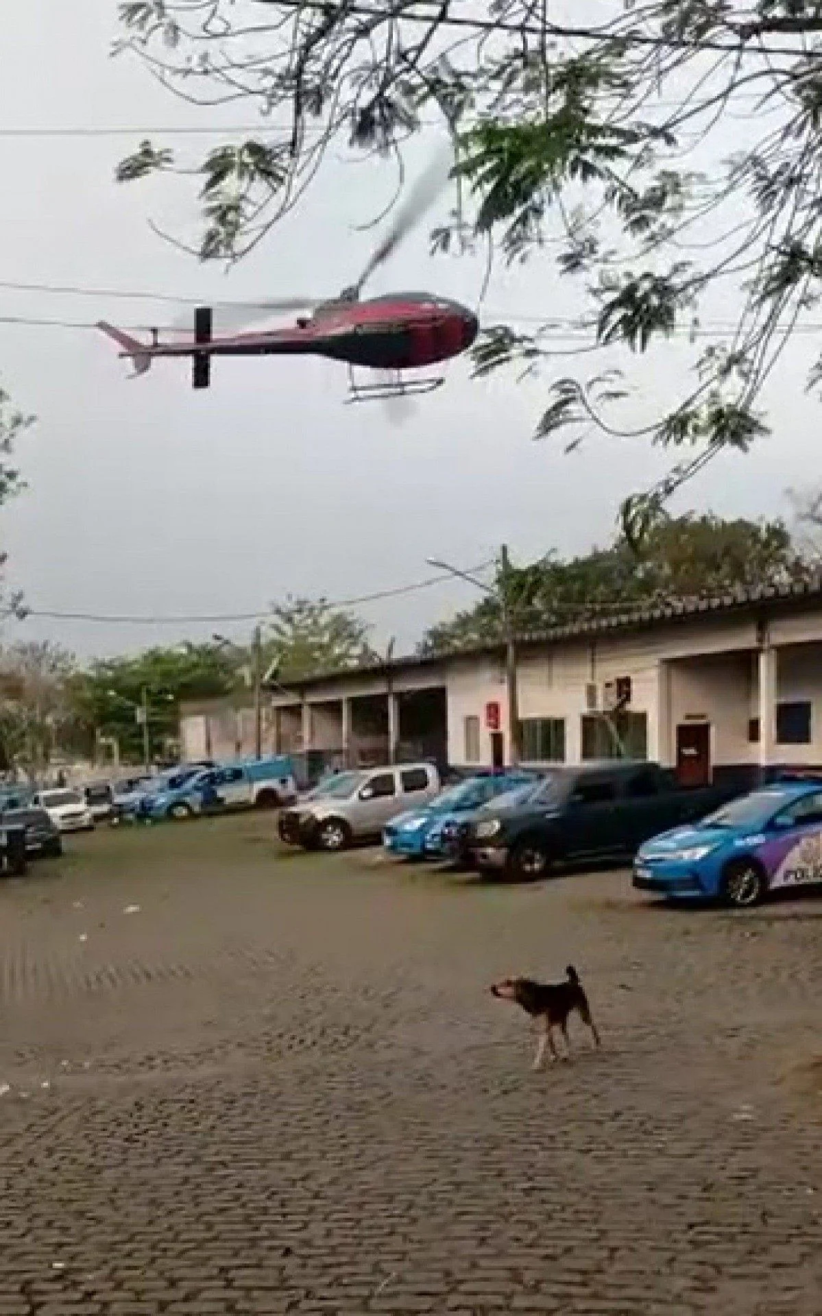 Bandidos sequestram helicóptero e obrigam piloto a ir até o Complexo de Bangu
