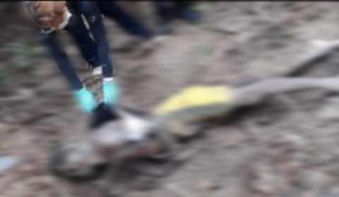 Corpo de homem é encontrado dentro de cova no Puraquequara