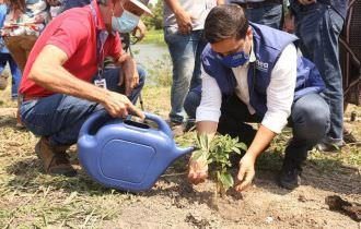 Estado do Rio de Janeiro tem ações em comemoração ao Dia da Árvore
