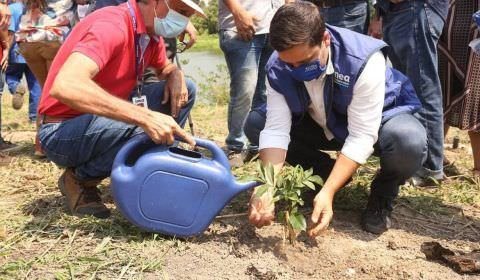 Estado do Rio de Janeiro tem ações em comemoração ao Dia da Árvore