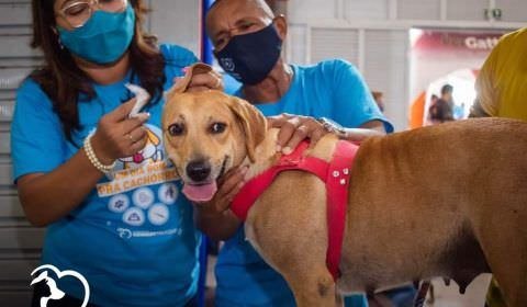 Após sucesso de “Um dia bom pra cachorro”, organização confirma 2ª edição