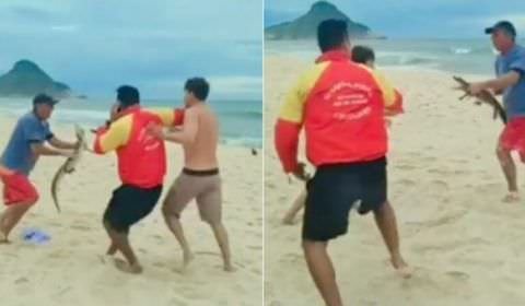 Filhote de jacaré vira “arma” de briga em praia do Rio de Janeiro; Veja o vídeo: