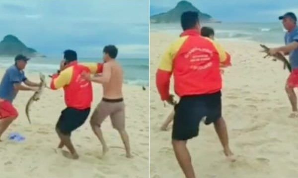 Filhote de jacaré vira “arma” de briga em praia do Rio de Janeiro; Veja o vídeo: