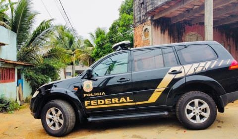 Operação Abutre combate disseminação de pornografia infantil