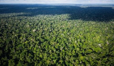 Zona Franca de Manaus tem potencial para impulsionar economia do Brasil
